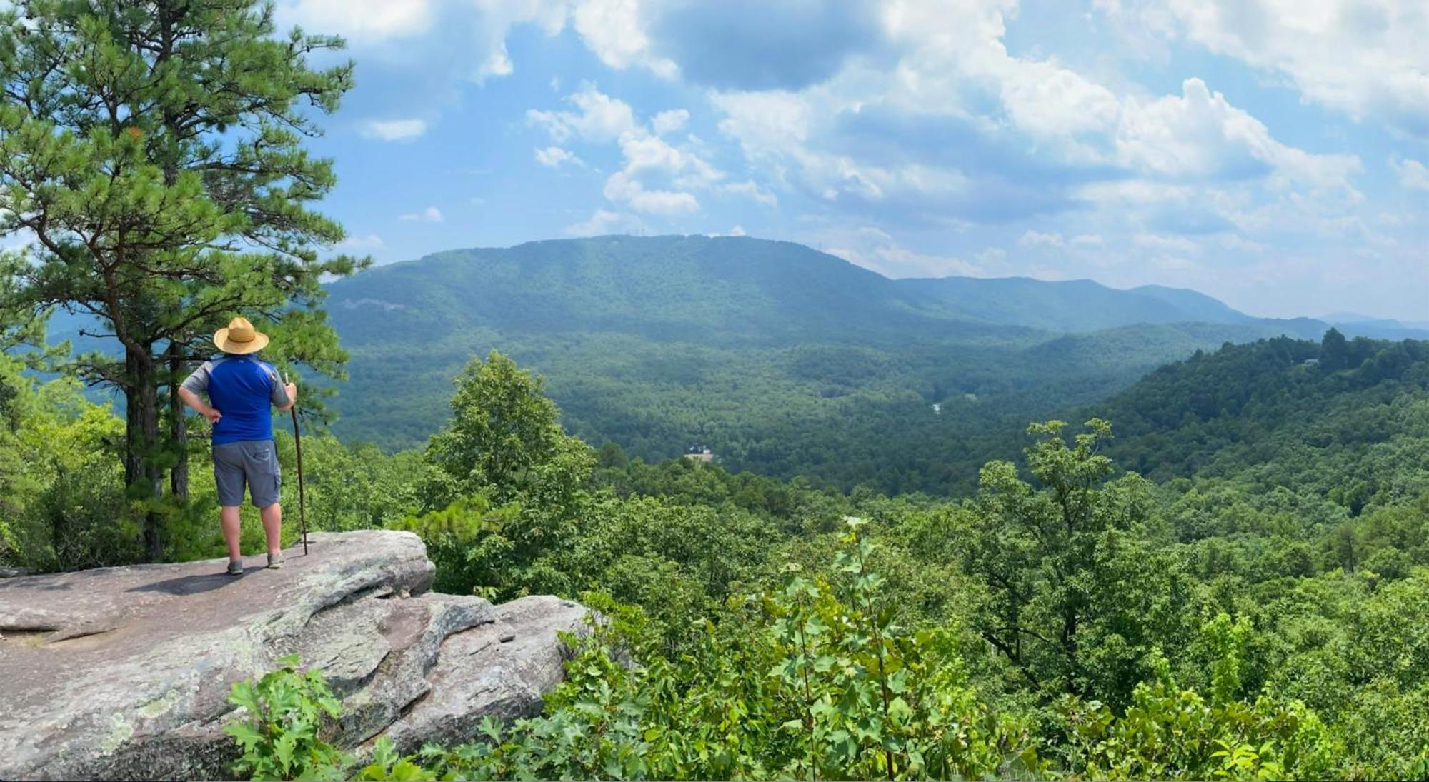 Kanuga Inn & Lodging هيندرسونفيل المظهر الخارجي الصورة